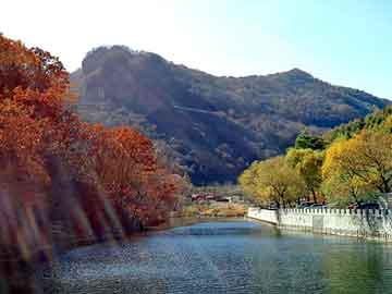 新澳天天开奖资料大全旅游团，黑道小说排行